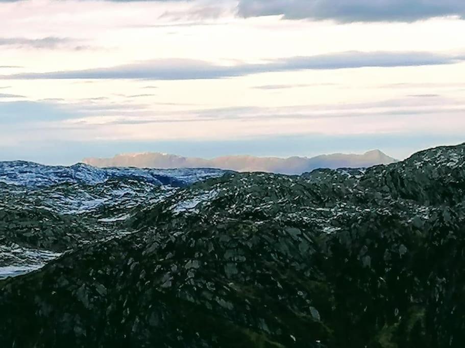 Appartamento Sognevegen 2242 Haugsvaer Esterno foto
