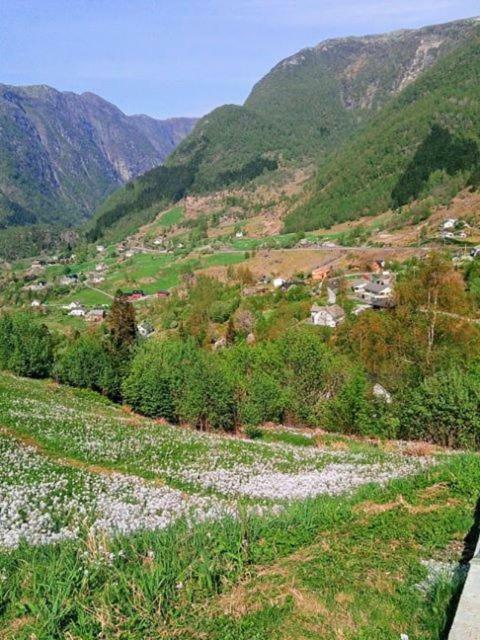 Appartamento Sognevegen 2242 Haugsvaer Esterno foto
