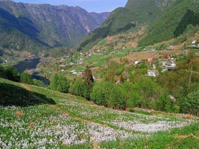 Appartamento Sognevegen 2242 Haugsvaer Esterno foto