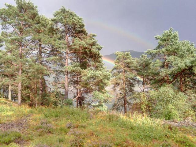 Appartamento Sognevegen 2242 Haugsvaer Esterno foto