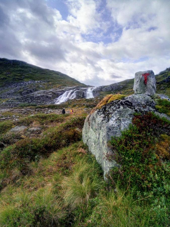 Appartamento Sognevegen 2242 Haugsvaer Esterno foto